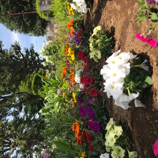花壇